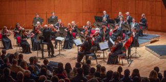 Cellisimo 2024 – Three week countdown to Ireland’s most exciting new music festival