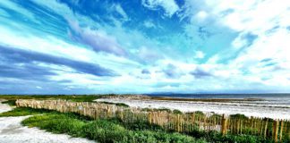 Love your Beach to kick off National Biodiversity Week galway daily news beach clean for biodiversity week in galway