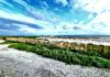 Warning notices removed from Galway City beaches
