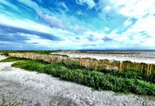 Warning notices removed from Galway City beaches