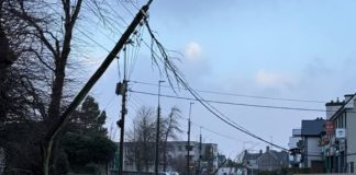 National spotlight on Galway community support model