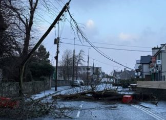 National spotlight on Galway community support model