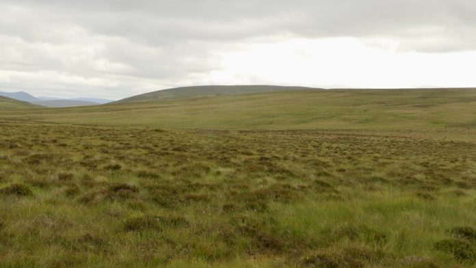 Blanket_bog_-_geograph.org.uk_-_7235740