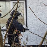 Loughrea1 14th March