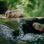 Public meeting on water quality in Ballinasloe