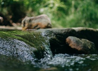 Public meeting on water quality in Ballinasloe