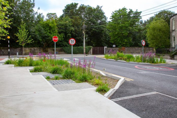 Crescent Sea Road Rain Garden