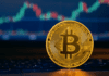 Choosing a Crypto Token Development Company: Key Factors That Define Success
